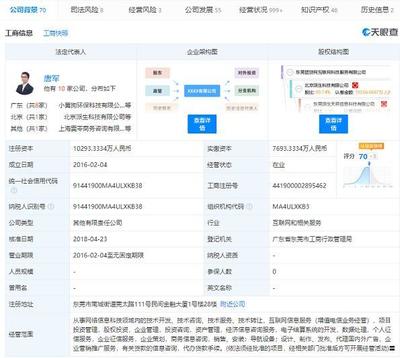東莞團(tuán)貸網(wǎng)互聯(lián)網(wǎng)科技服務(wù)被列入經(jīng)營異常名錄 網(wǎng)絡(luò)技術(shù)開發(fā)與信息咨詢的合規(guī)警示