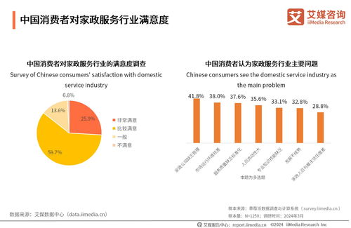 2024-2025年中國(guó)家政服務(wù)業(yè)發(fā)展及行業(yè)投資機(jī)遇分析 網(wǎng)絡(luò)技術(shù)驅(qū)動(dòng)的變革與信息咨詢價(jià)值